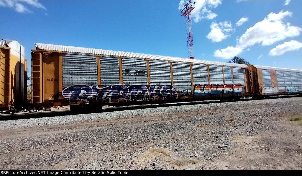 NS 28798 TTGX 983731 Con Grafiti 